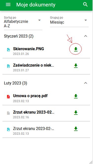 Ikona pobierania przy wybranym dokumencie