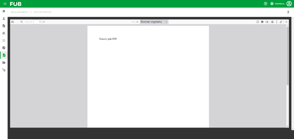 Okno poglądu dokumentu